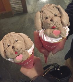 yuris-on-ice: Makkachin and Vicchan on … um … ICE?! source 