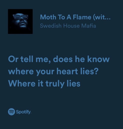Moth To A Flame LN4