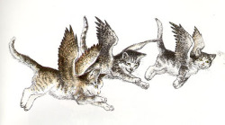 felinepurrrstory: “I drew a picture of a cat with wings, and I thought “Oh, what fun! Why shouldn’t a cat have wings!?” and then, “What would happen if they did?” and so there goes the book. – Ursula K. Le Guin 