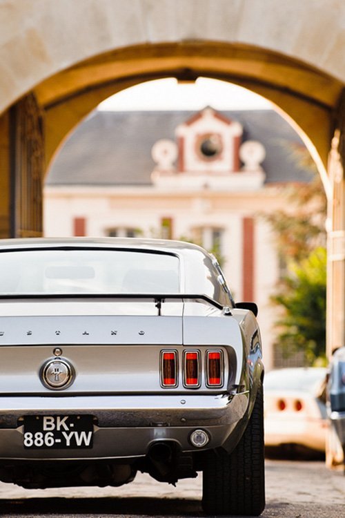 Eat.Sleep.Breathe.Cars