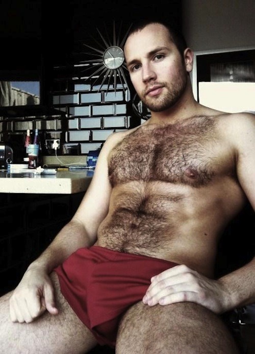 Porn Pics hairy-chests:  hairy chests big bulge http://hairy-chests.tumblr.com/
