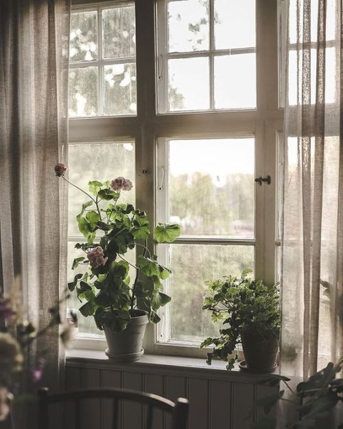 grayskymorning:Jasmina Bylund