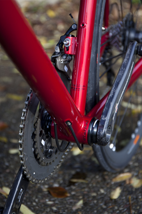 stelbel-telai: A closer look at the SB/03 internal cable routing. Check out the full gallery here. 