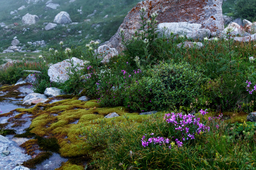 thebeautyofrussia:Gorge Ulla-Tau, Caucasusfotomm