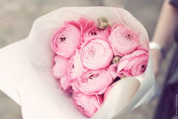 timefliestoday:  Pink Flowers by Paris in