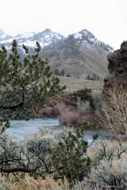 At the River Bend, Before the Storm: Shoshone National Forest, Wyomingriverwindphotography, December