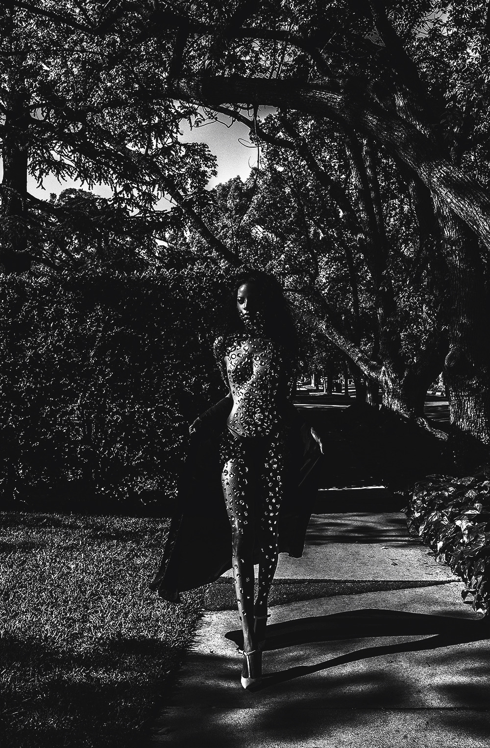 Ebony - Beauties