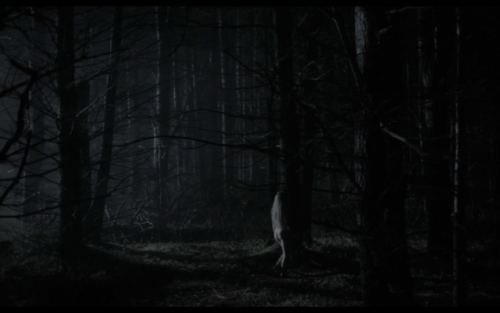 filmista:  The VVitch: A New-England Folktale (2015) dir. Robert Eggers “Wouldst thou like the taste of butter? A pretty dress? Wouldst thou like to live deliciously?” 