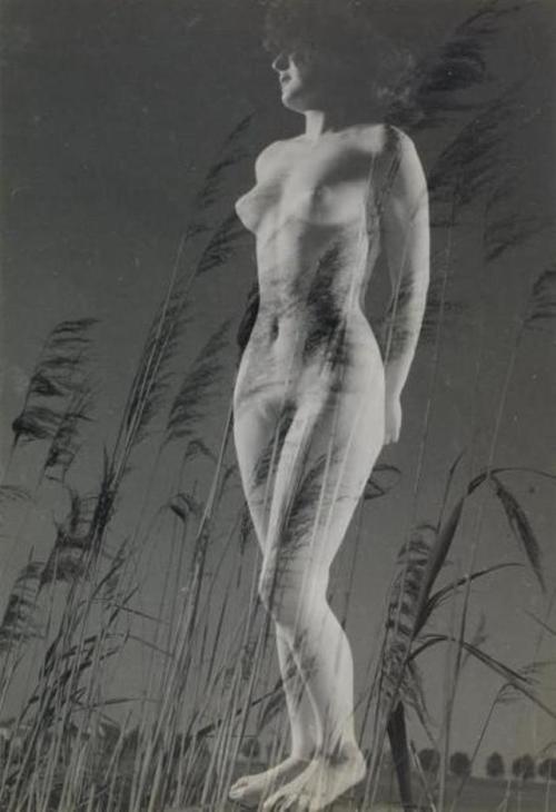 Pierre Boucher: Nu aux blés, 1936 