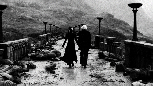 quitegentle:  Draco,                                   come.