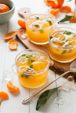 hoardingrecipes:  Mandarin Mint Lemonade