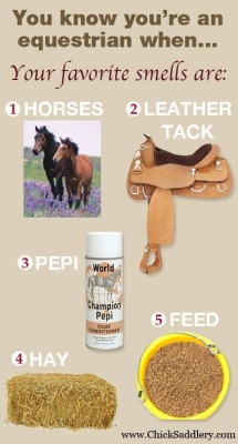 everyotherhorsegirl:  lemsequestrian:  the-dressage-moo:  everyotherhorsegirl:  These are defiantly my favorite smells  Pepiiiii.  WTF is peppi ??  Pepi is like show sheen. It makes you horse shinny!!!! And smells amazing!!!!  Never heard of Pepi but