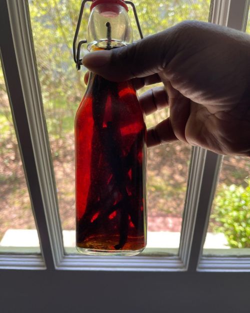 Oh, and an update on my vanilla extract. Coming along very nicely. BUT, you should really smell this