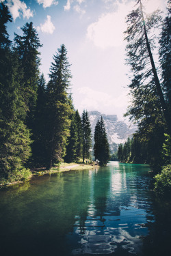 elenamorelli:  { green + blue }