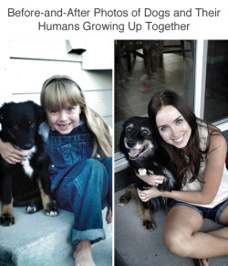 literally–hitler: aedictive:  wwinterweb: Dogs Growing Up With Their Humans (see 20 more) right in the feels  i actually think dogs get cuter with age 