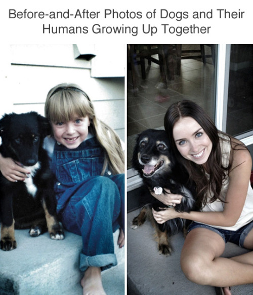 Porn Pics wwinterweb: Dogs Growing Up With Their Humans