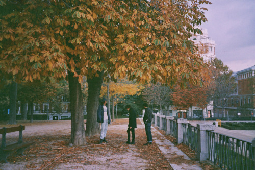 imaginaryenemy-:  (by Berta Pfirsich) 