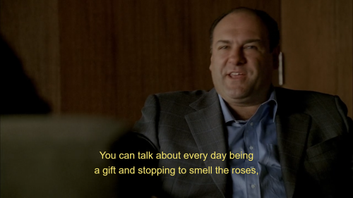 fyeahthesopranos