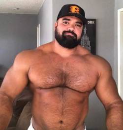 thickbear475: BULK~!