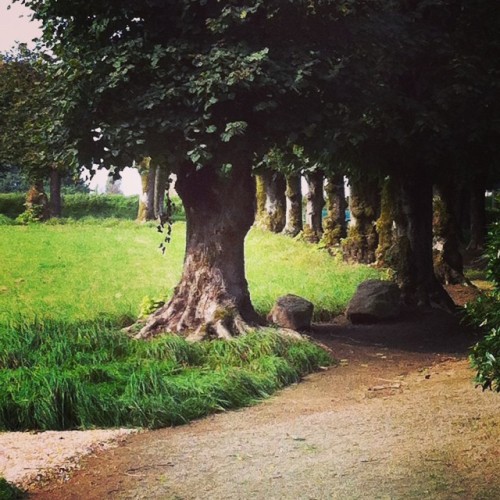 What is #spiritualfrance? Abbayes, Basilicas, Cathedrals and for me&hellip;.nature. @visitfrance