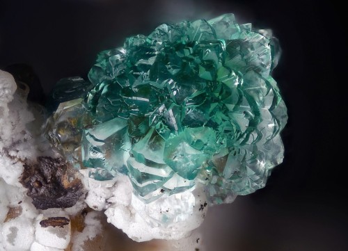 underthescopeminerals:    Adamite   Locality:  Hilarion Mine, Hilarion area, Kamariza Mines, Agios Konstantinos [St Constantine], Lavrion District Mines, Lavrion District, Attikí Prefecture, Greece    Collection Miguel Ángel F. Périz. Photograph Juan