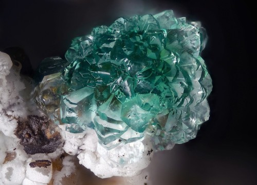 Porn Pics underthescopeminerals:    Adamite   Locality: