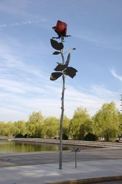 moma:  The Rose is coming to MoMA’s Sculpture Garden this winter. Thorns and all… 
