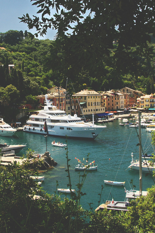 trueprepblog:  True Prep - the privileged ivy style