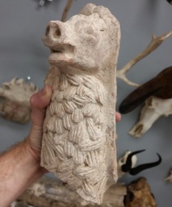 buy-skulls: I snagged a new groovy specimen for the Prehistoria Natural History Centre! Dating back to ~100CE, this is a fragment of an Ancient Greek ceramic hollow-formed figurine!  We have a bunch of other fragments for sale and they will start being