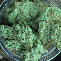 Benzbudz:  Weed Is Tight, Weed Is Tight. Reblog This.