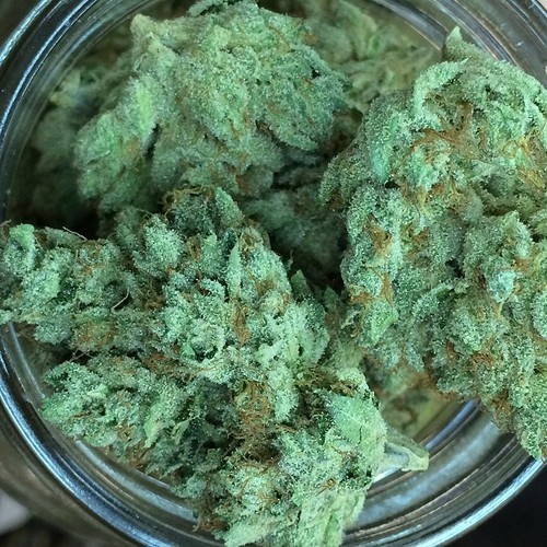 benzbudz:  Weed is tight, weed is tight. Reblog this.