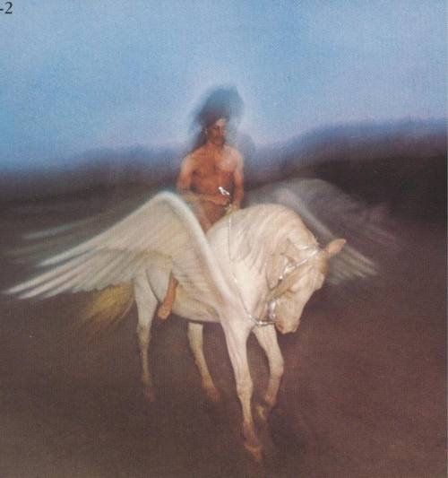 yakubgodgave:Prince - “Prince” LP backcover, 1979