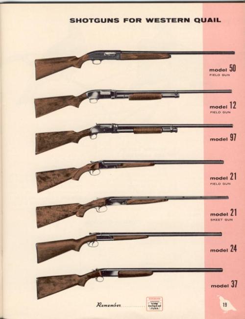 Shotguns for Western Quail