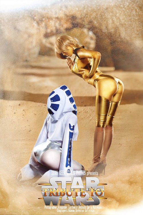 sexynerdgirls:  C-3PO and R2D2 by OniksiyaSofinikum