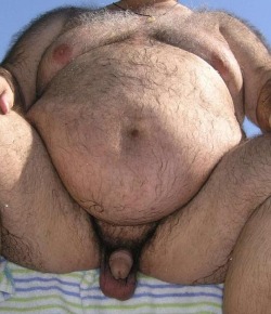 Big Hairy Bear