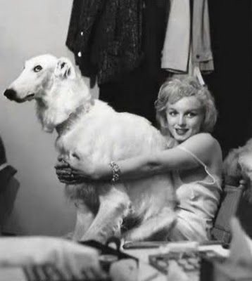 happyheidi:Marilyn Monroe + Borzoi’s <3 adult photos