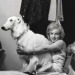 Sex happyheidi:Marilyn Monroe + Borzoi’s <3 pictures