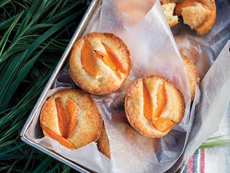 Porn photo epicurious:  Little Apricot Cakes (Bon Appétit,