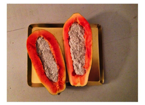 Papaya stuffed with chia pudding via @pepideboissieu