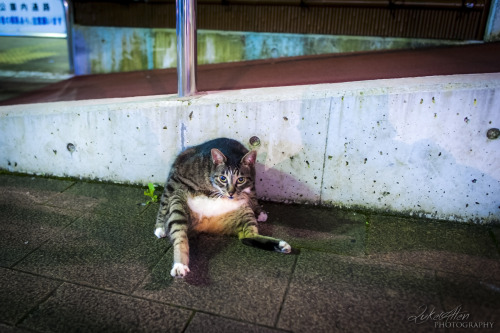 What’re you lookin’ at? Ikebukuro - 池袋