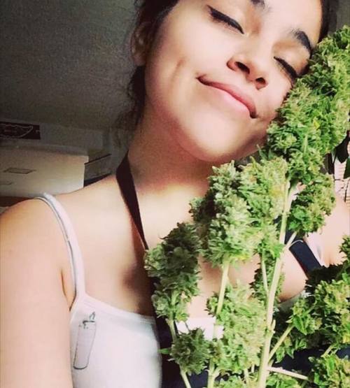 @cannabaaby #kushqueens by thekushqueens http://ift.tt/1Zl1YrB