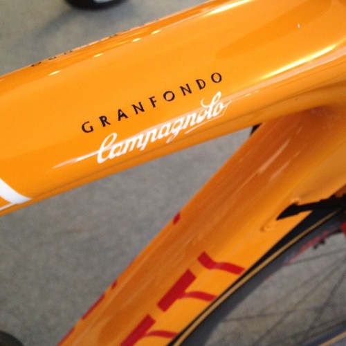 eztoride:  laicepssieinna:  Evening in Rome. Roma Granfondo frame. #fuelfortheride #campagnolo by pe