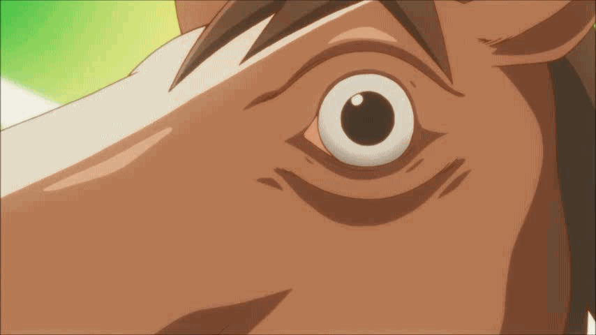 isopodde:  THE HORSE STARES INTO YOUR SOUL