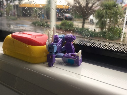Don't Think I've Shown Him On My Blog Yet, But I Recently Got Rumble!!Here's A Photo I Took Earlier While