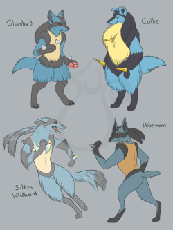 cheeziesart:  Lucario - Domestic DogsCollies