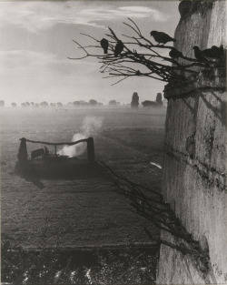 last-picture-show: Paul Strand, Waterwheel and Colossi, Gurna, Egypt, 1959