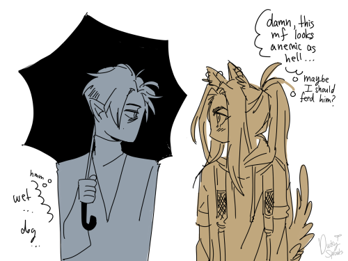 Svsss X Twilight