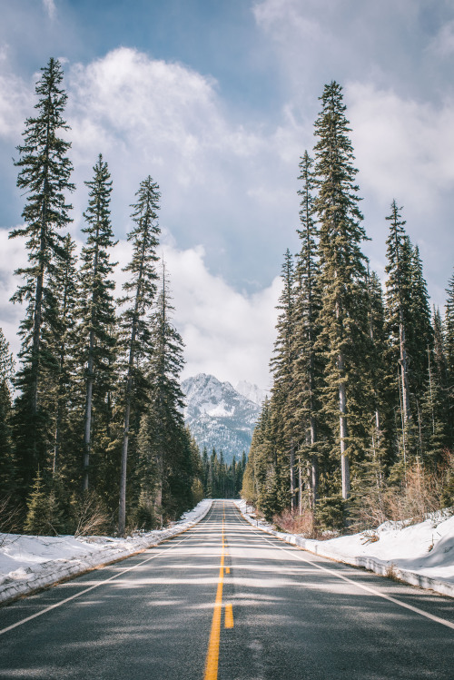 morgan-phillips: Northern Cascades - Morgan Phillips