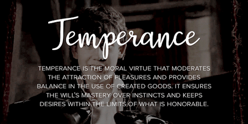 hermionegrangcr:Harry Potter big seven + the seven heavenly virtues