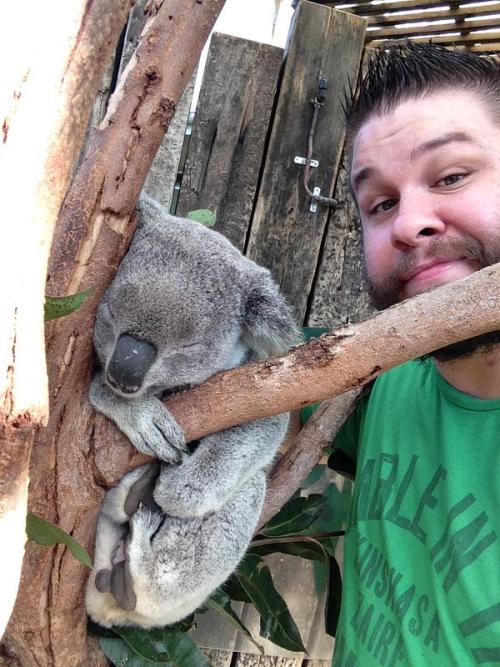 conikumanly:  Kevin Owens + Animals